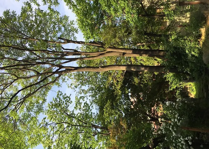 Jiwoljang Seoel